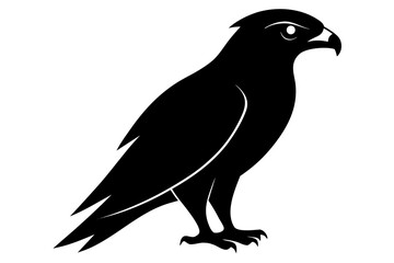 Fototapeta premium Falcon Bird silhouette vector, Falcon Bird black symbol 