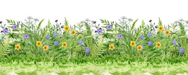 Meadow wildflowers and grass seamless border hand drawn watercolor botanical illustration clipart, natural summer field backdrop with herbs and blooms png, isolated on transparent background. © anitapol