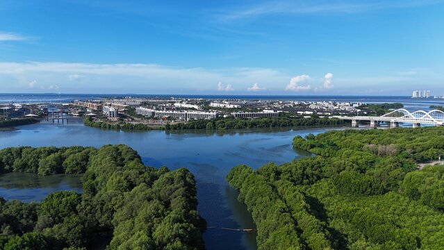 An aerial perspective captures a lush, dense mangrove forest split by a winding river, leading toward a distant urban skyline featuring white arched bridges under a vast, bright blue sky in Indonesia.