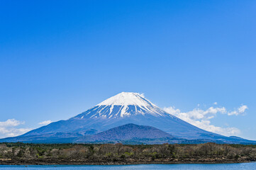 Fototapeta premium 日本山梨精進湖と富士山