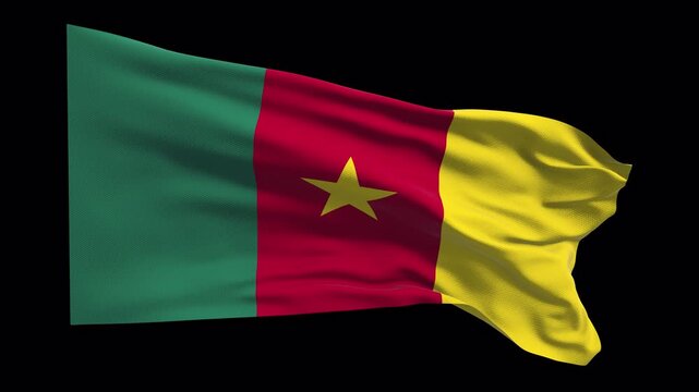 Cameroon flag waving in the wind. Cameroonian identity unity national pride. News visuals political topics international relations documentaries educational travel web banners Central Africa.