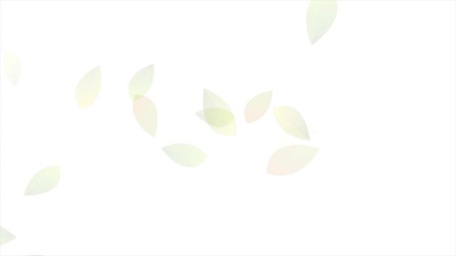 Summer and spring flying green leaves on white background. Seasonal motion design. Video animation Ultra HD 4K 3840x2160