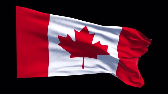 CCanada flag waving in the wind. Canadian identity unity national pride maple leaf. News visuals political topics international relations documentaries educational travel web banners North America.