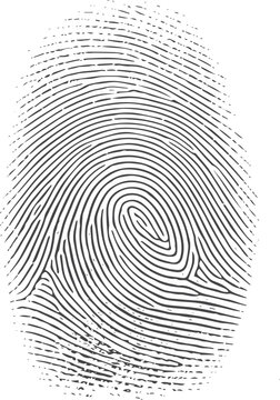 Black and white fingerprint pattern identification