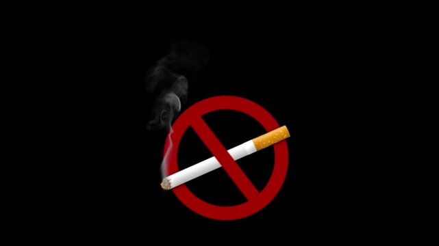 No Smoking Sign_Alpha
A sign on a transparent background indicating that smoking is prohibited. Alpha Channel.