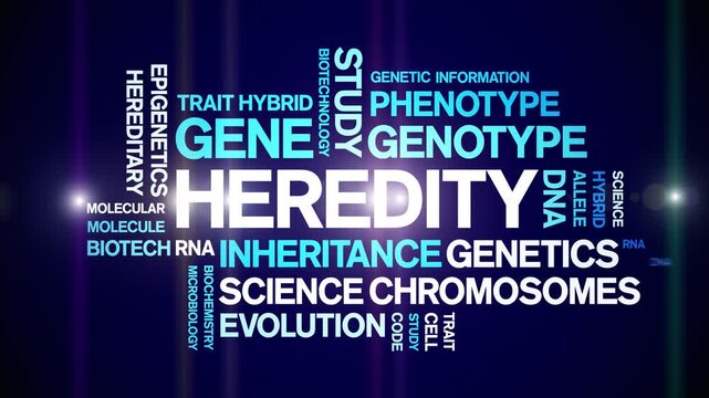 Heredity animated word cloud-text design animation tag kinetic typography seamless loop.