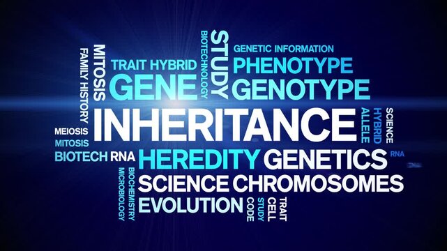 inheritance animated word cloud-text design animation tag kinetic typography seamless loop.