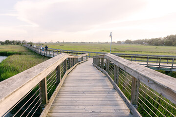 Obraz premium Winding tidal creek through green marshland