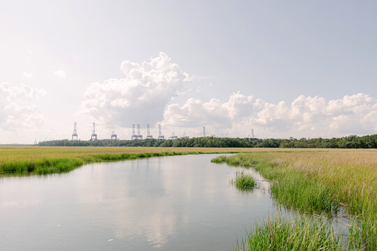 marsh landscape with shipping cranes on the horizon