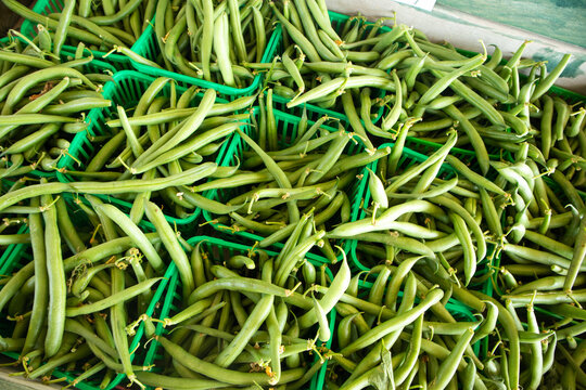 fresh green beans for sale