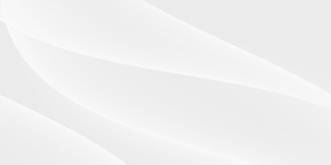 Obraz premium abstract white background with gradient color and artistic dynamic line decoration