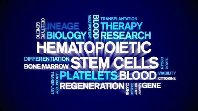 Hematopoietic Stem Cells animated word cloud-text design animation tag kinetic typography seamless loop.