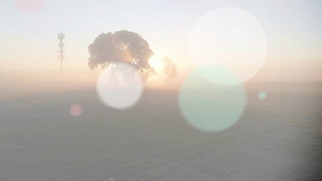 Animated circles appearing over field, drifting and obscuring sunlit tree for technology