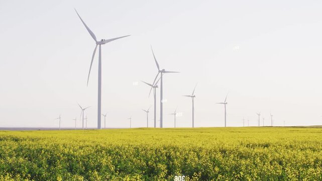 Wind gusting, turbines rotating, yellow crop swaying, glyphs clustering and visualizing energy data