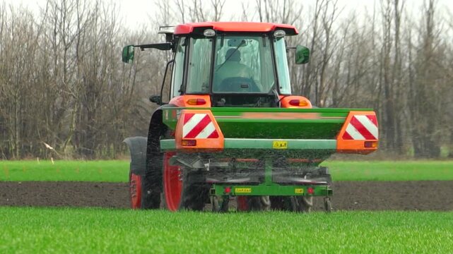 Tractor spreading mineral fertilizer on agricultural field, crop nutrition and farming process, rear view