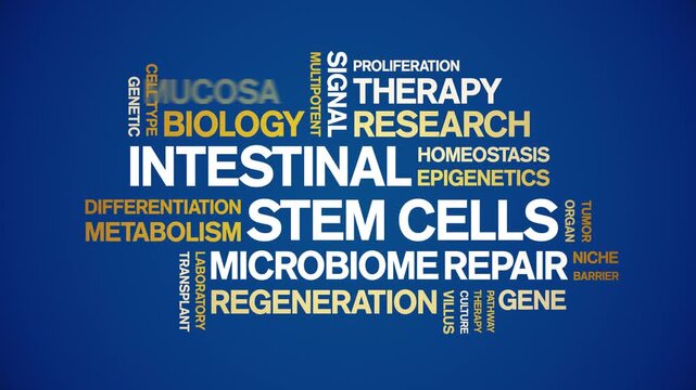 intestinal Stem Cells animated word cloud-gross domestic product animation tag kinetic typography seamless loop.