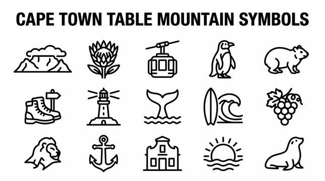 Cape Town Icons: Table Mountain, Wildlife, Landmarks & More