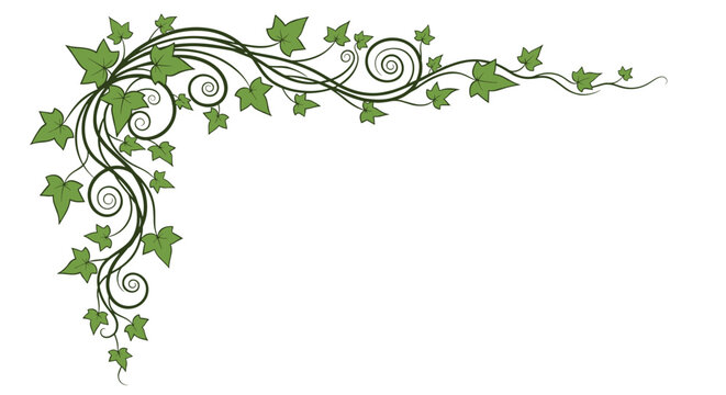 Decorative corner border made of green ivy vines and swirling stems for wedding invitation or classic frame design.