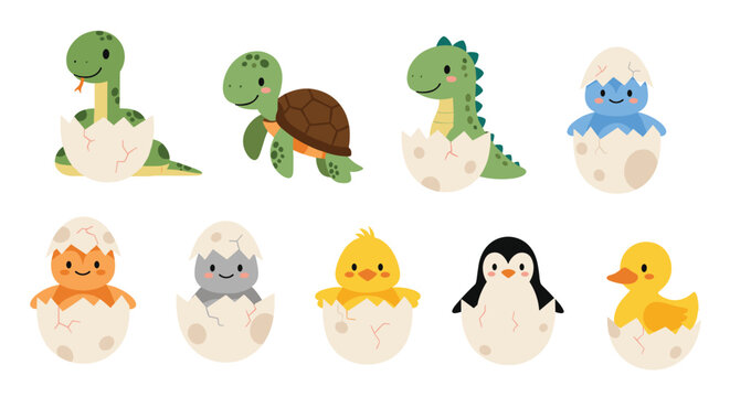 Adorable set of baby animals hatching from eggs including a snake turtle dinosaur chick penguin and duckling for kids.