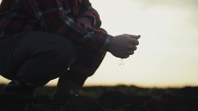 Villager in agricultural fields, closeup view of male hands with pouring soil. Professional agronomist or bioengineering examining ground in farmland, planning sowing, soiling and good harvesting