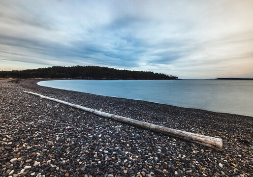 Large piece of driftwood along Jasper pepple beach, Maine