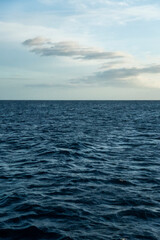 Obraz premium Open ocean horizon with soft waves under cloudy sky