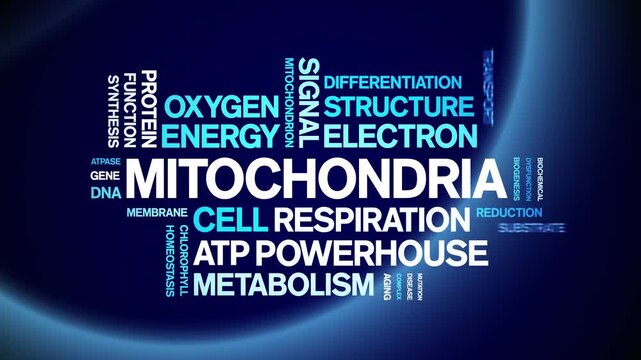 Mitochondria animated word cloud-gross domestic product animation tag kinetic typography seamless loop.