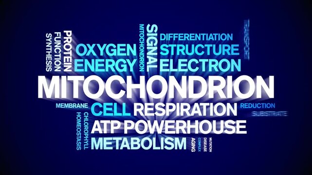 Mitochondrion animated word cloud-gross domestic product animation tag kinetic typography seamless loop.