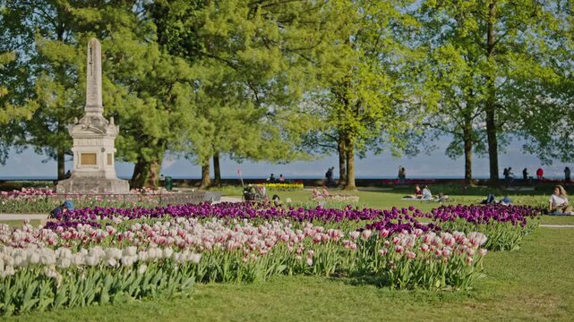 Morges Tulip Festival park with monument and colorful spring flowers.Filmed on 21 April 2026.