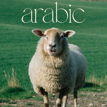 a green background with a sheep and the words quote