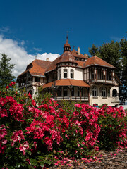 Fototapeta premium 2025-07-19; Historic half-timbered villa in Swieradow-Zdroj surrounded by blooming pink roses.