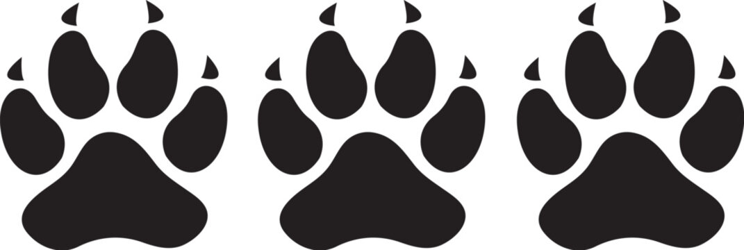 Lion Paw illustration vector file