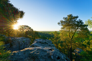 Naklejka premium Denecourt path 19 in the Dame Jouanne rock. Fontainebleau massif