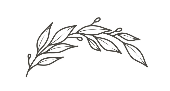 Laurel Branch with leaves.  Minimal simple hand-drawn line art vector illustration, black on a white background