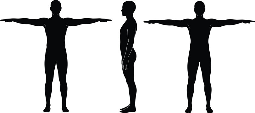 Human body silhouettes in T pose with front and side views, minimalist black vector for anatomy, modeling, and 3D reference design
