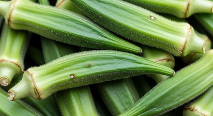 Fototapeta premium Fresh green okra vegetable bunch.