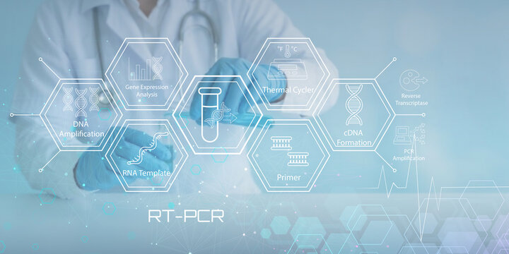 Scientist performing RTPCR process with gene expression analysis and DNA amplification steps illustrated in modern digital graphic design