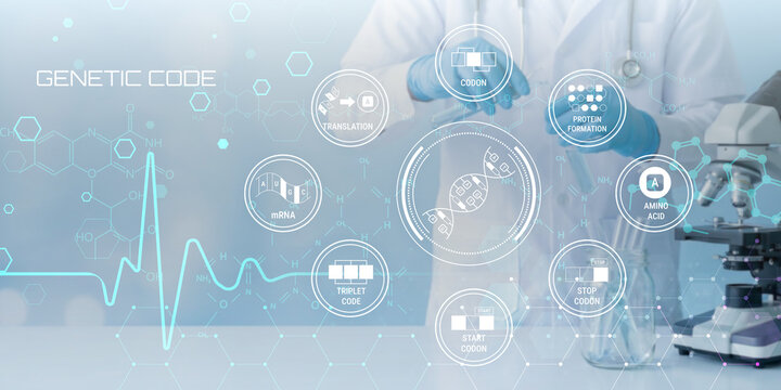 Scientist working with genetic code visualization showing DNA transcription translation process and protein synthesis in modern laboratory