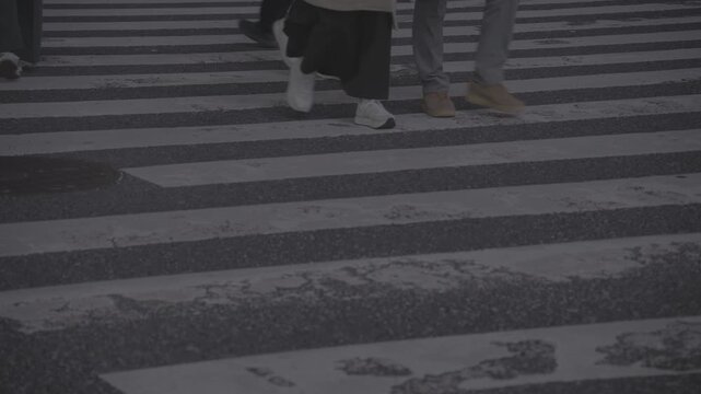 【4K RAW R3DNE】渋谷の街並み