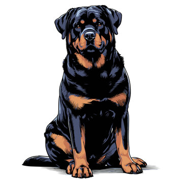 Angry Rottweiler Images – Browse 2,263 Stock Photos, Vectors, and Video ...