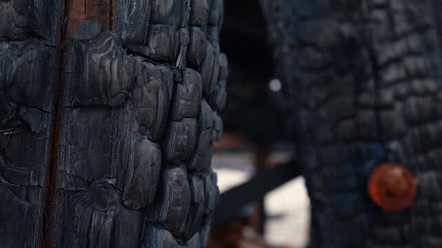 Detailed black charred wood texture after intense fire damage. Extreme close-up of burnt timber surface showing cracked charcoal patterns and carbonized wood.