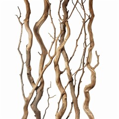 Fototapeta premium Group of twisted dry branches creating a natural and artistic pattern, isolated on white