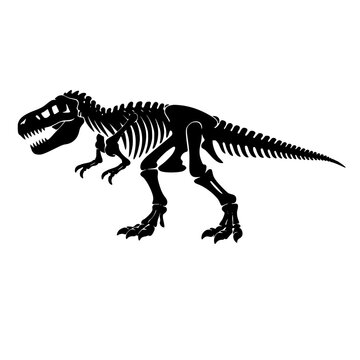 tyrannosaurus rex skeleton