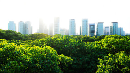 Fototapeta premium Lush green forest canopy overlooks a modern city skyline representing a sustainable urban environment.