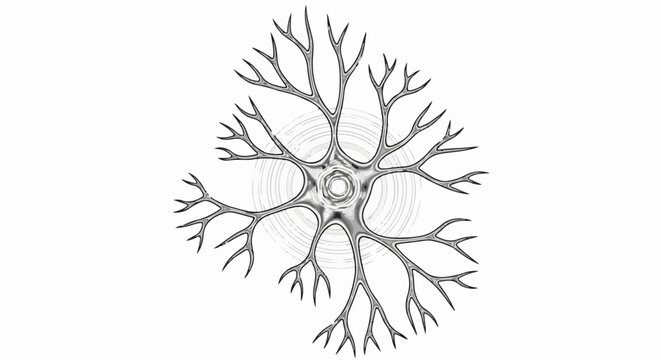 Detailed black and white illustration of a neuron with branching dendrites and axon
