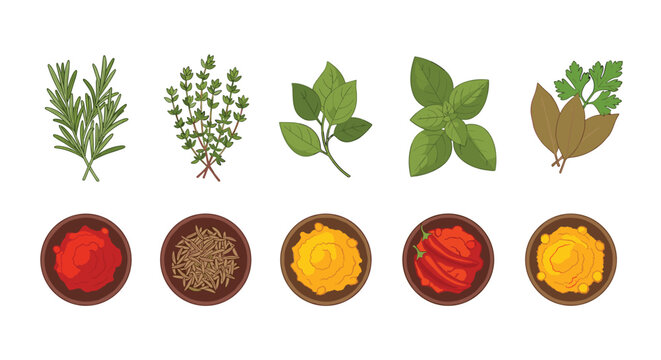 A collection of fresh green herbs and small bowls filled with colorful spices are arranged in two neat horizontal rows against a neutral light background surface.