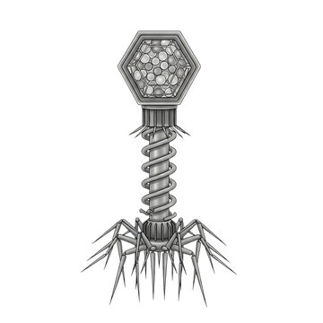 Stylized bacteriophage t2 virus structure on transparent background