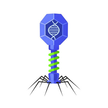 Illustration of a bacteriophage virus on transparent background