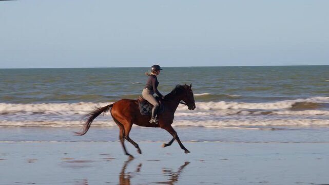 Equestrian Woman in Formal Riding Attire and Helmet Cantering Horse Along Sandy Beach