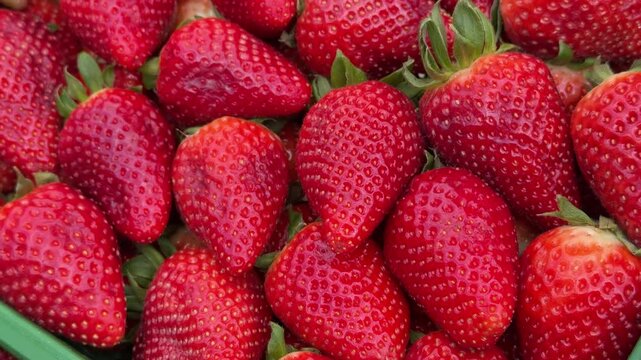 Ripe red strawberries green box closeup, packed in plastic crate at bustling fruit market, glossy skin and visible seeds, vibrant